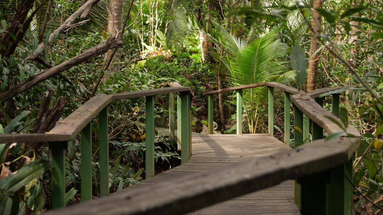 Casa Manglar Villa Puerto Jiménez Exterior foto