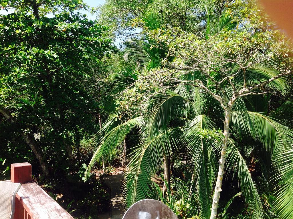 Casa Manglar Villa Puerto Jiménez Exterior foto