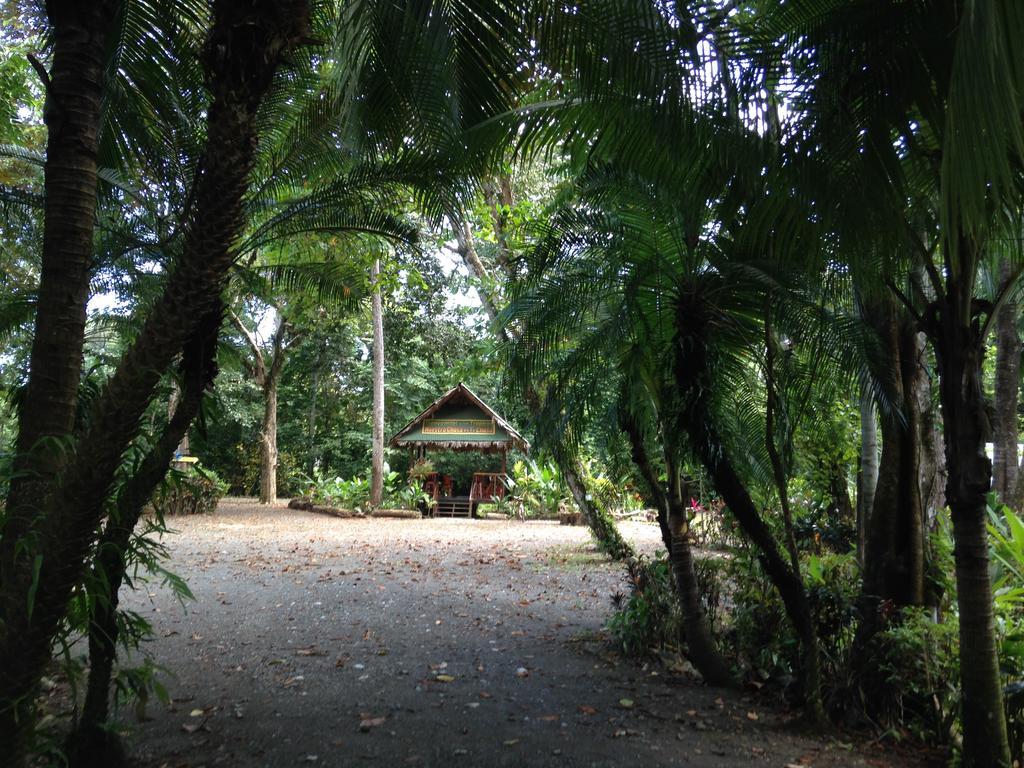 Casa Manglar Villa Puerto Jiménez Exterior foto