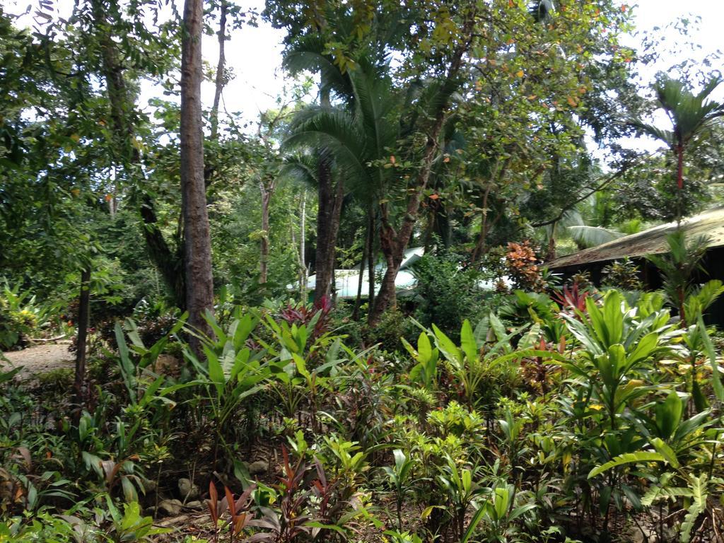 Casa Manglar Villa Puerto Jiménez Exterior foto